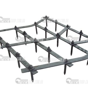 Бороная игольчатая